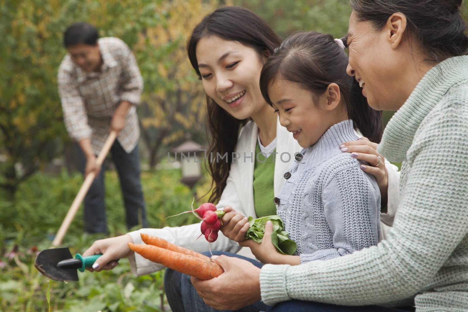 Happy family harvesting vegetables in garden