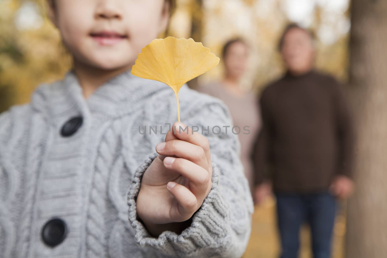 Grandparents and granddaughter in park