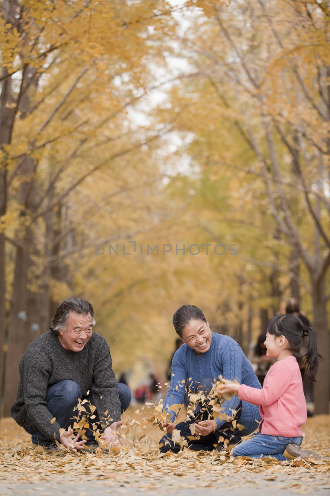 Grandparents and granddaughter playing in park