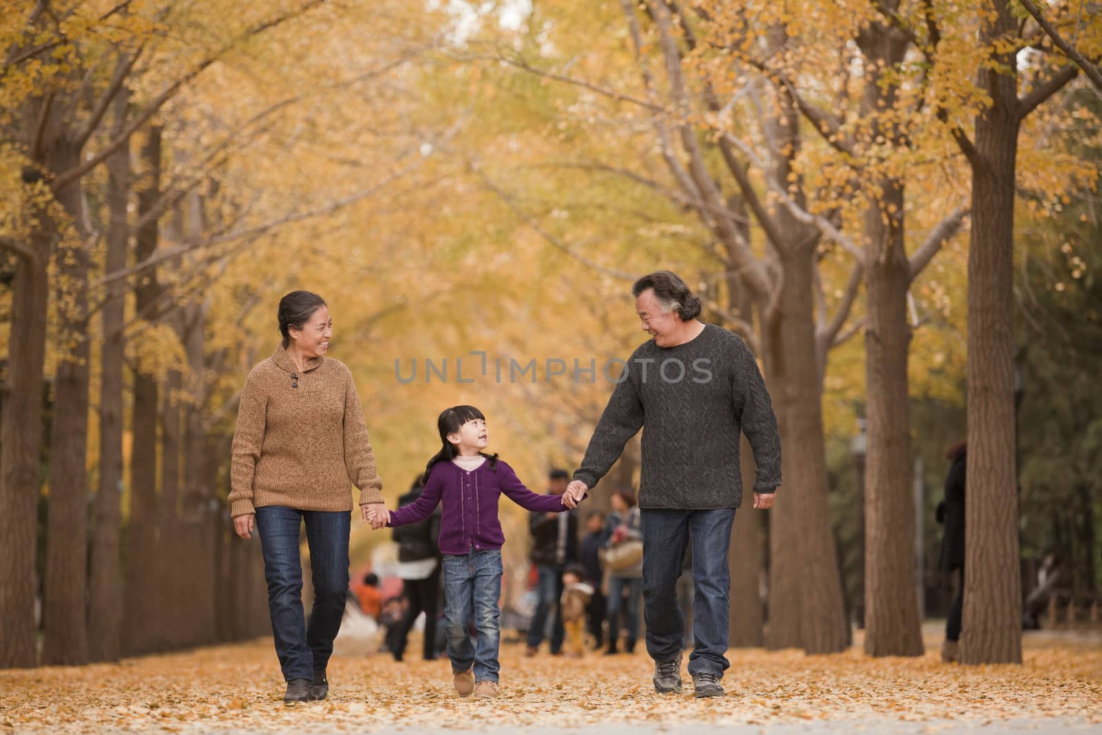 Grandparents and granddaughter playing in park by XiXinXing