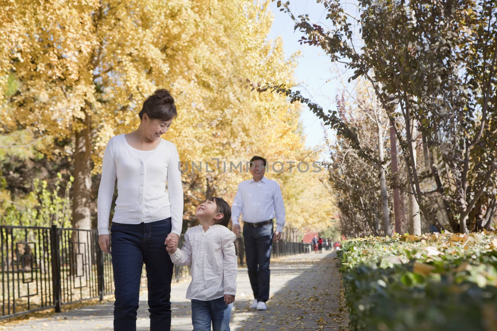 Grandparents and Granddaughter Walking in the Park by XiXinXing