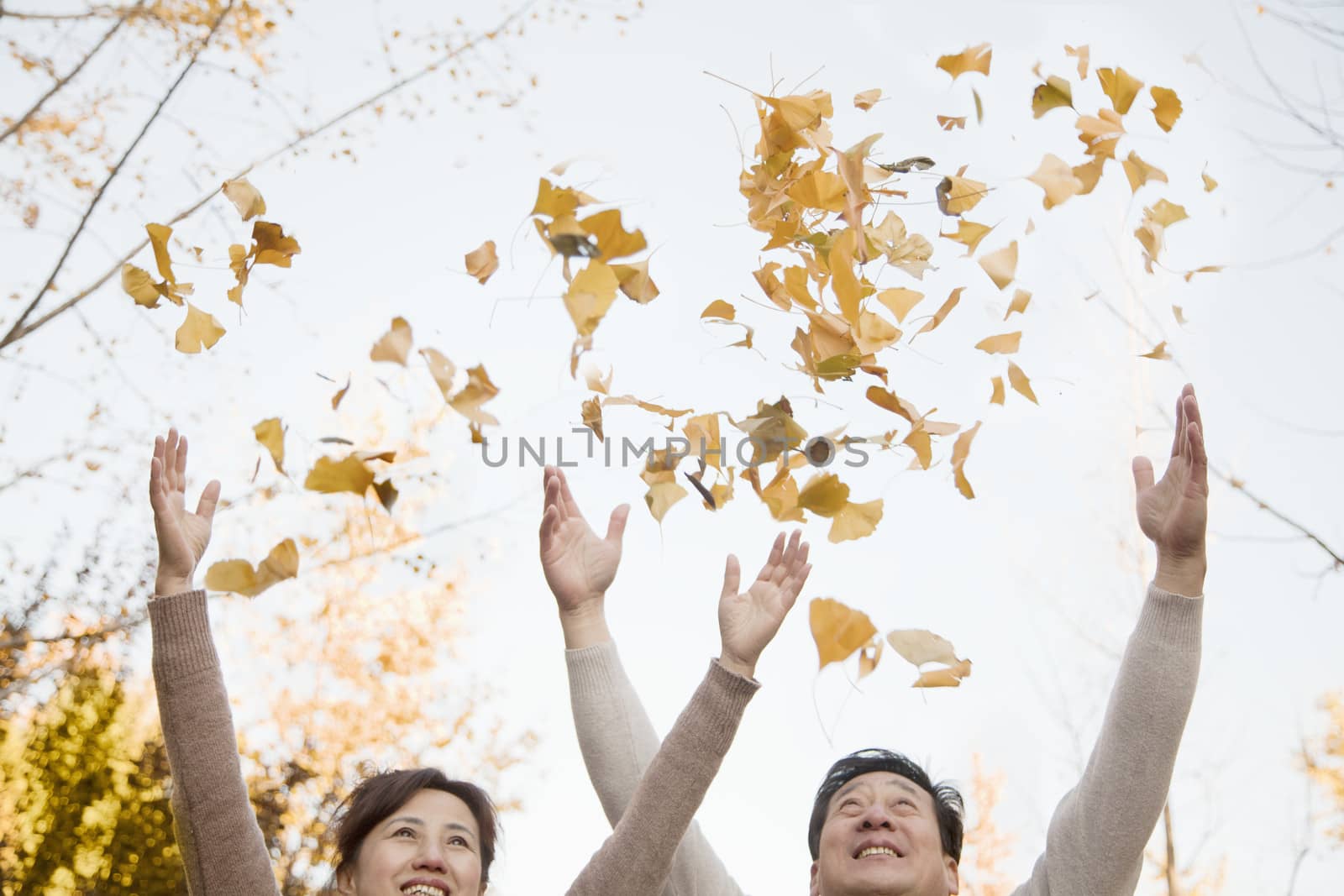 Mature Couple Throwing Leaves into the Air