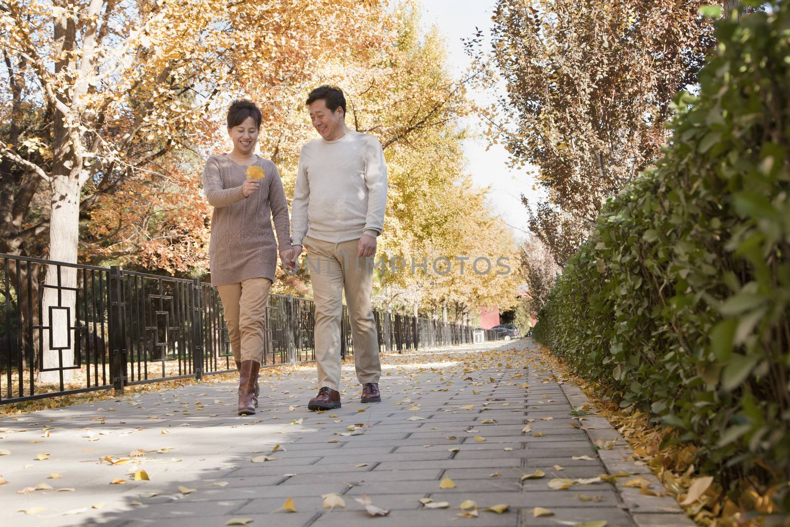 Mature Couple Talking a Walk in the Park