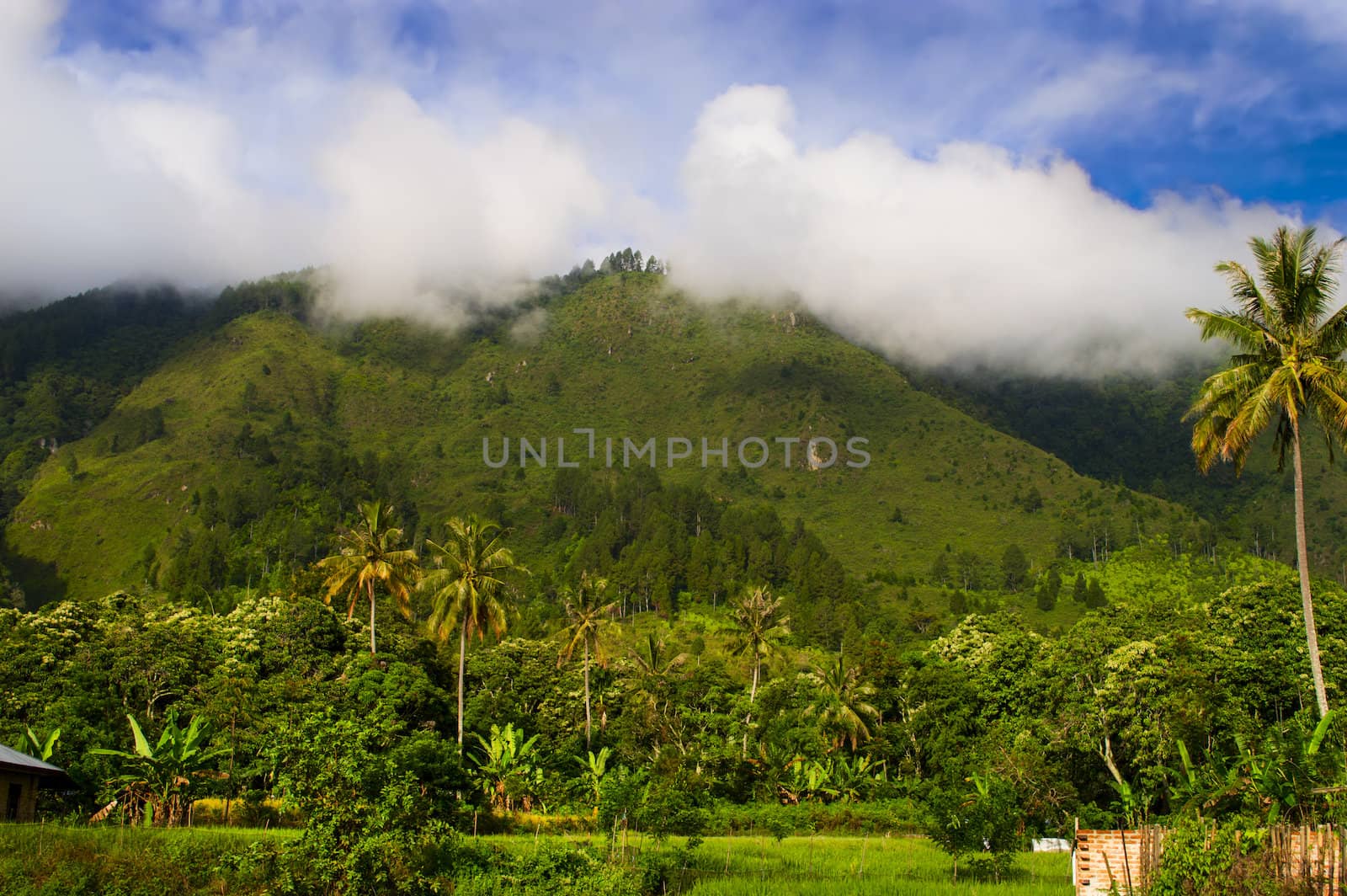 Hill View. Samosir Island, Lake Toba, North Sumatra, Indonesia.