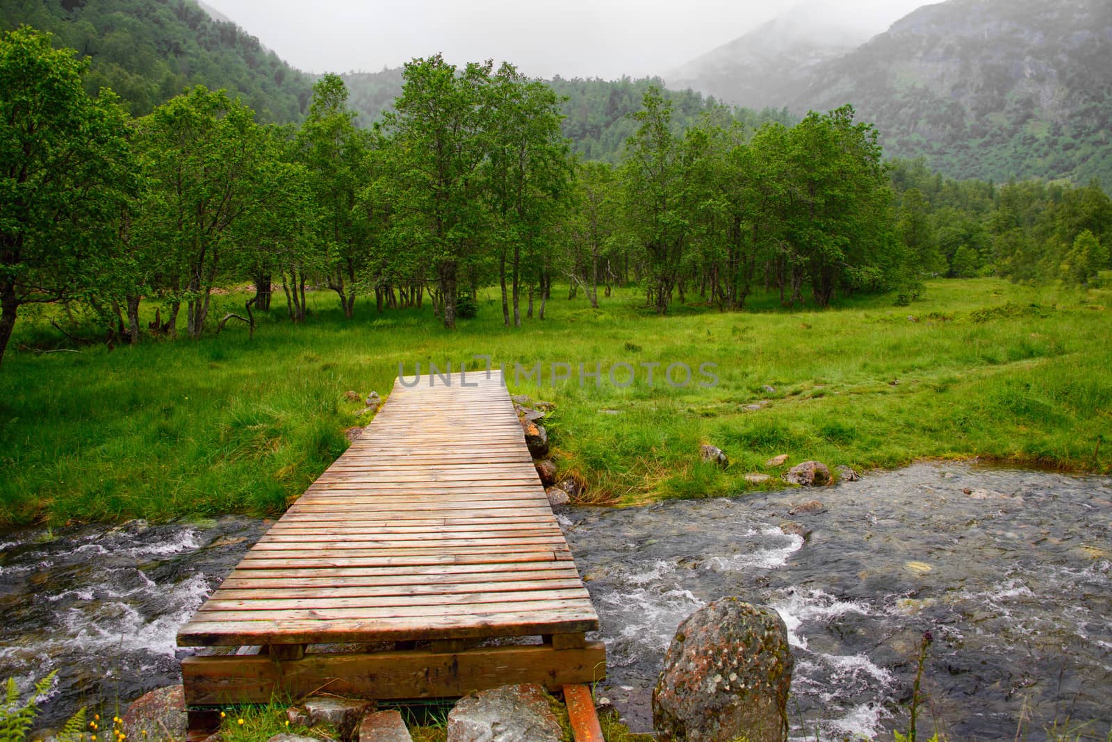 A simple wooden bridge crossing a river into the wilderness