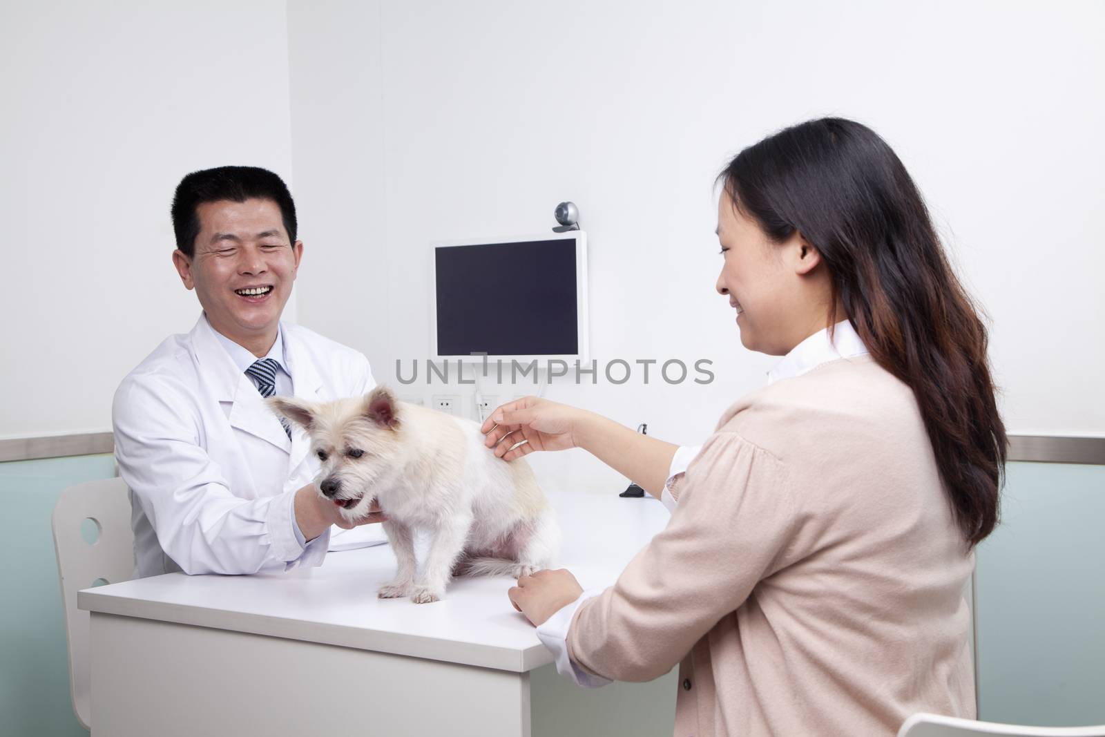 Woman with pet dog in veterinarian's office by XiXinXing