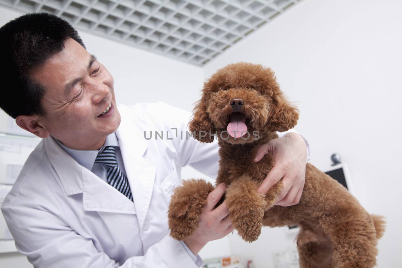 Dog in veterinarian's office by XiXinXing