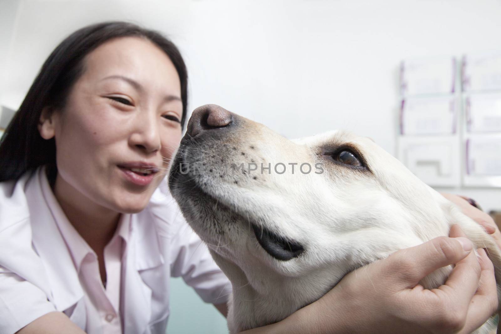 Dog in veterinarian's office by XiXinXing