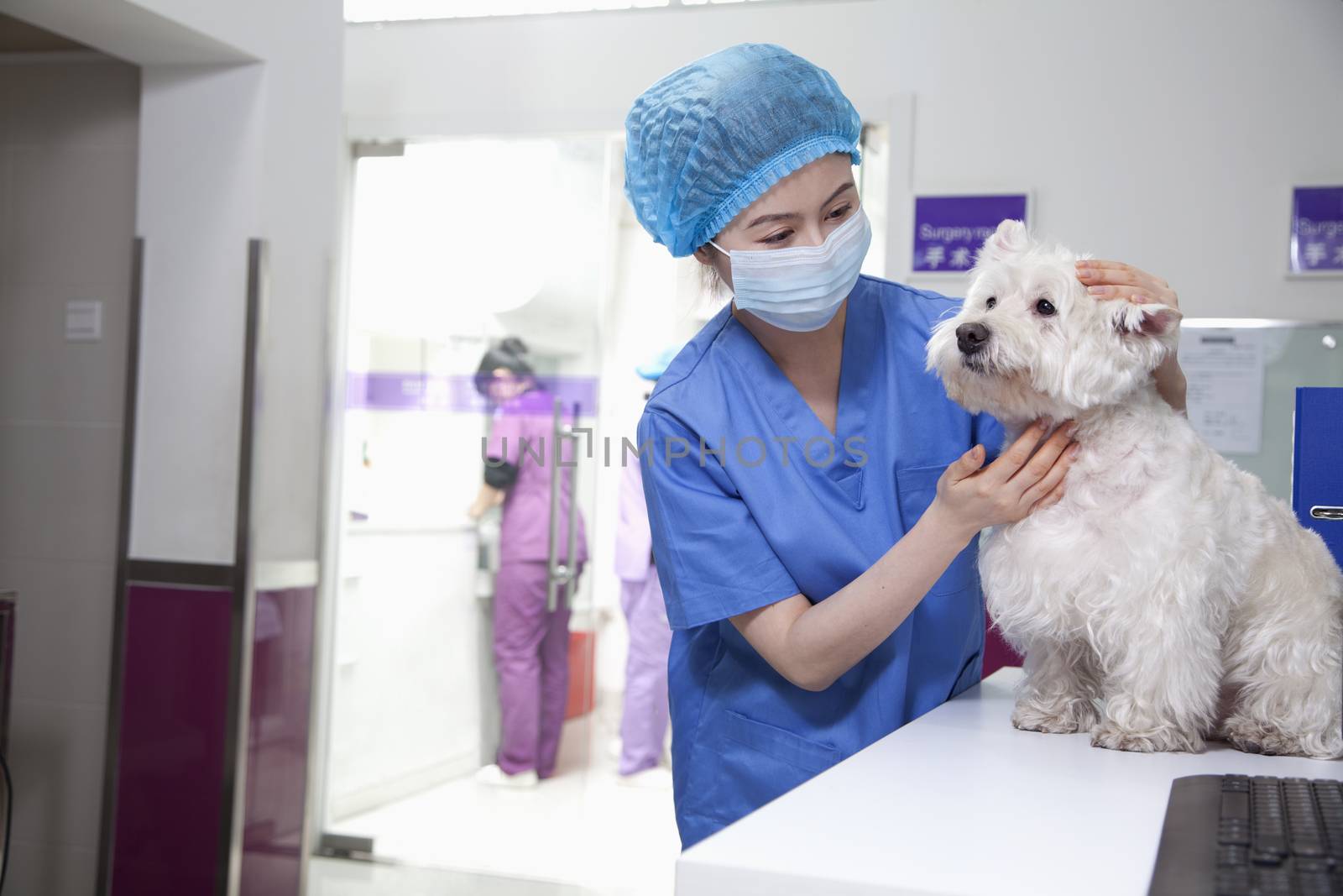 Veterinarian with dog  by XiXinXing