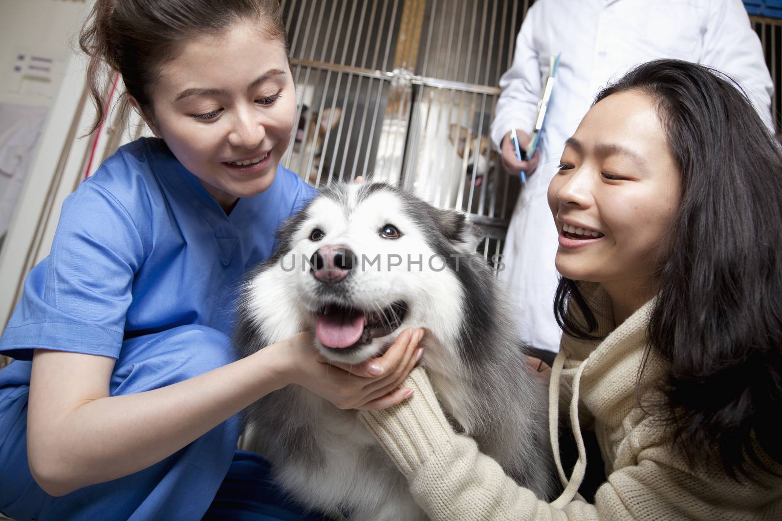 Woman with pet dog and veterinarian by XiXinXing