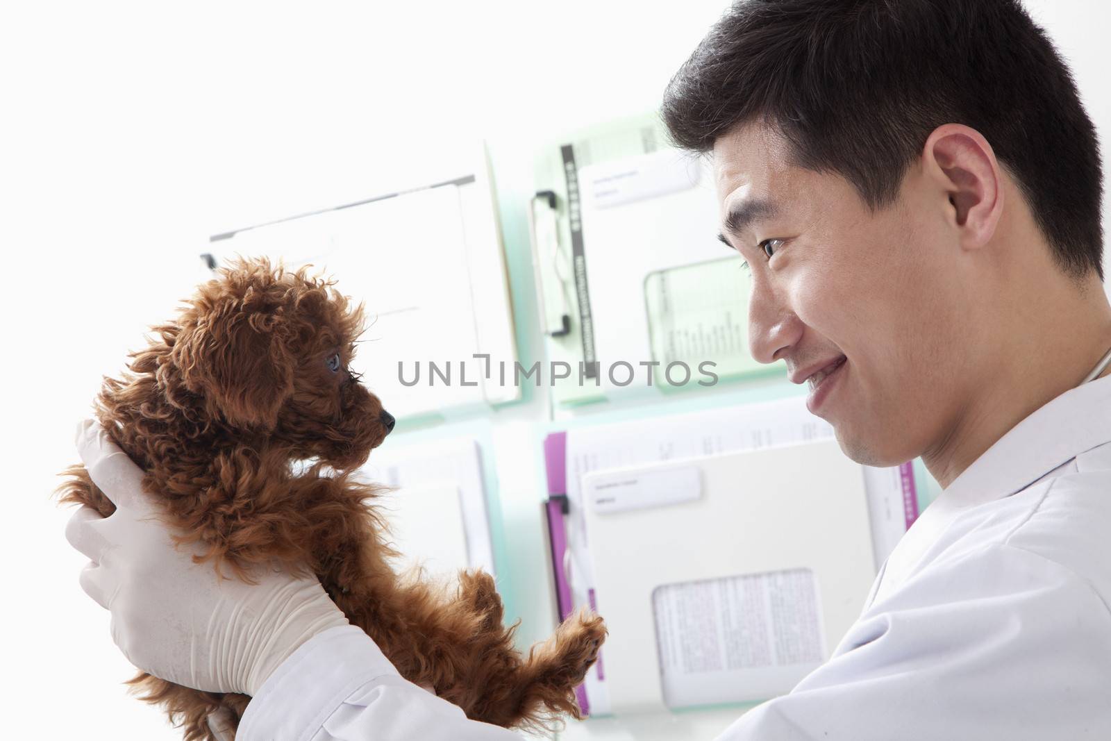 Veterinarian holding dog in office by XiXinXing