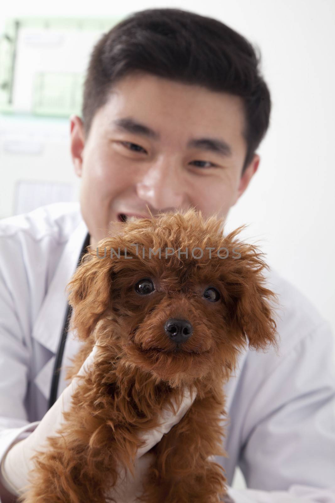 Veterinarian holding dog in office by XiXinXing