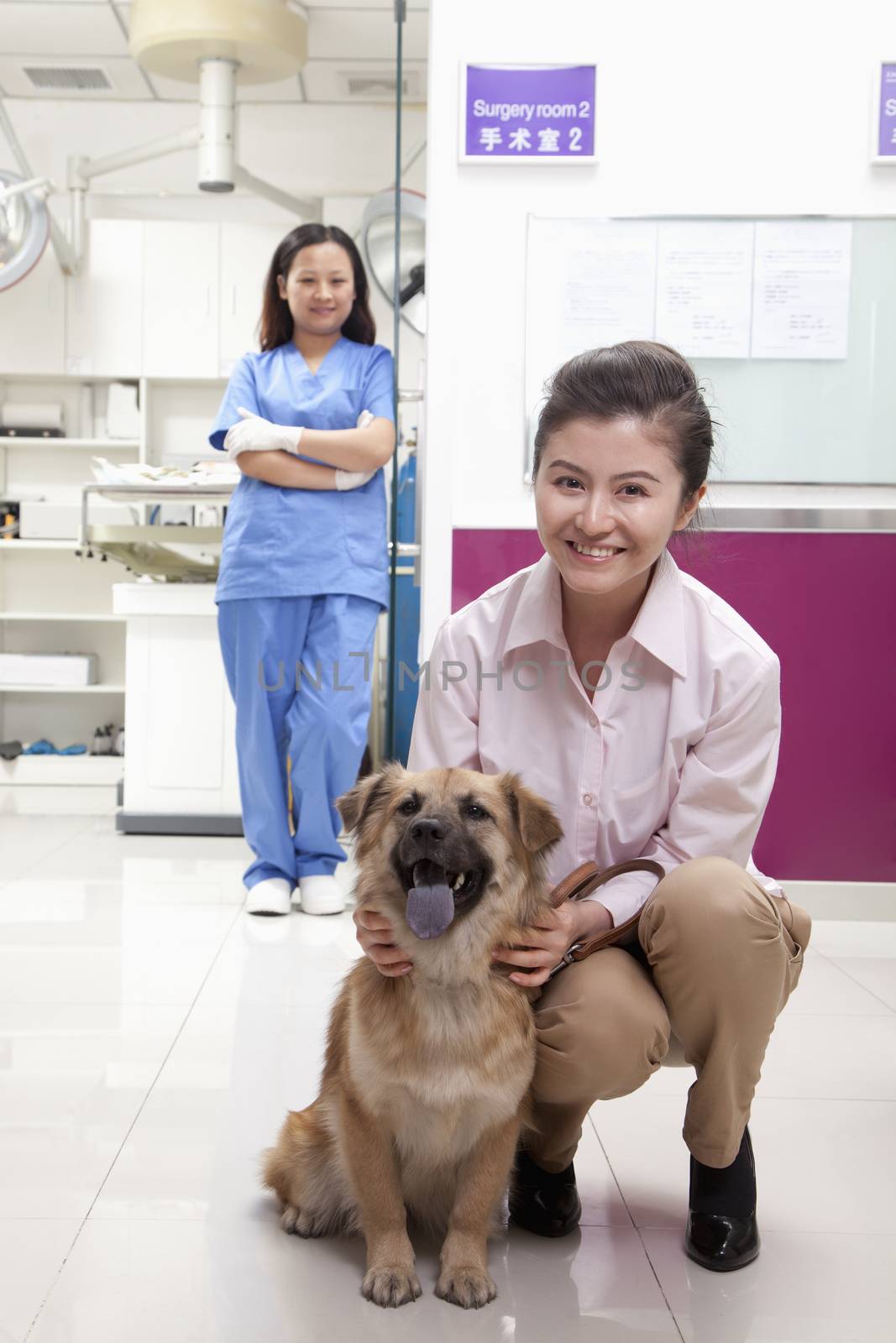 Woman with pet dog in veterinarian's office by XiXinXing
