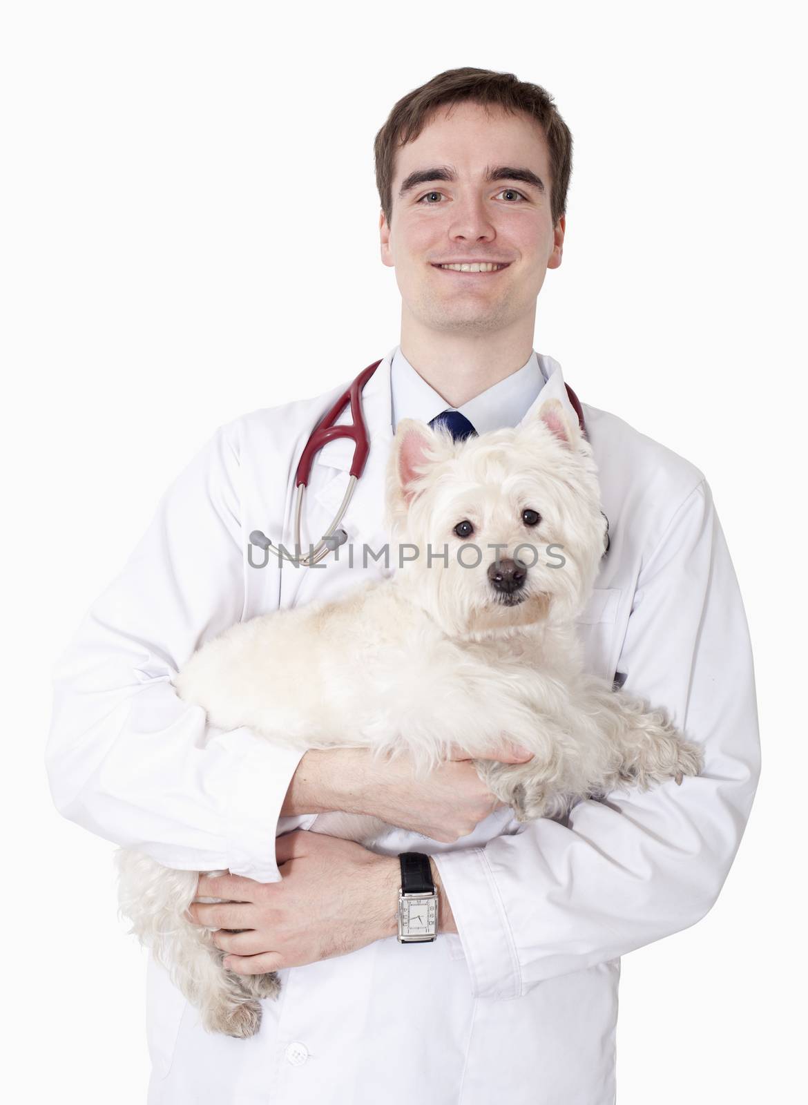 Portrait of veterinarian holding a dog, studio shot