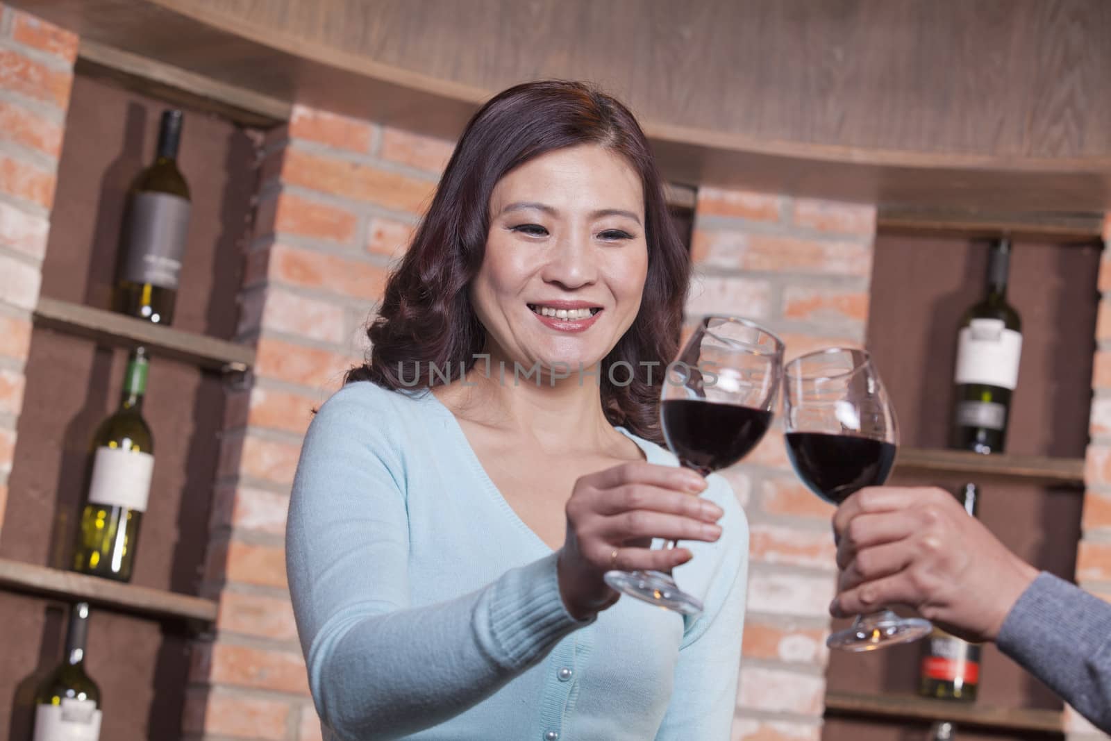 Mature Couple at a Winetasting, Toasting 