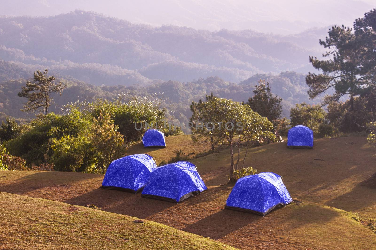 Tent camping in nature with wide angle landscape