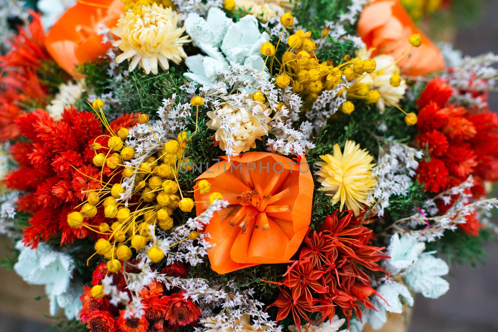 bunch of dryed flowers - shallow DOF picture