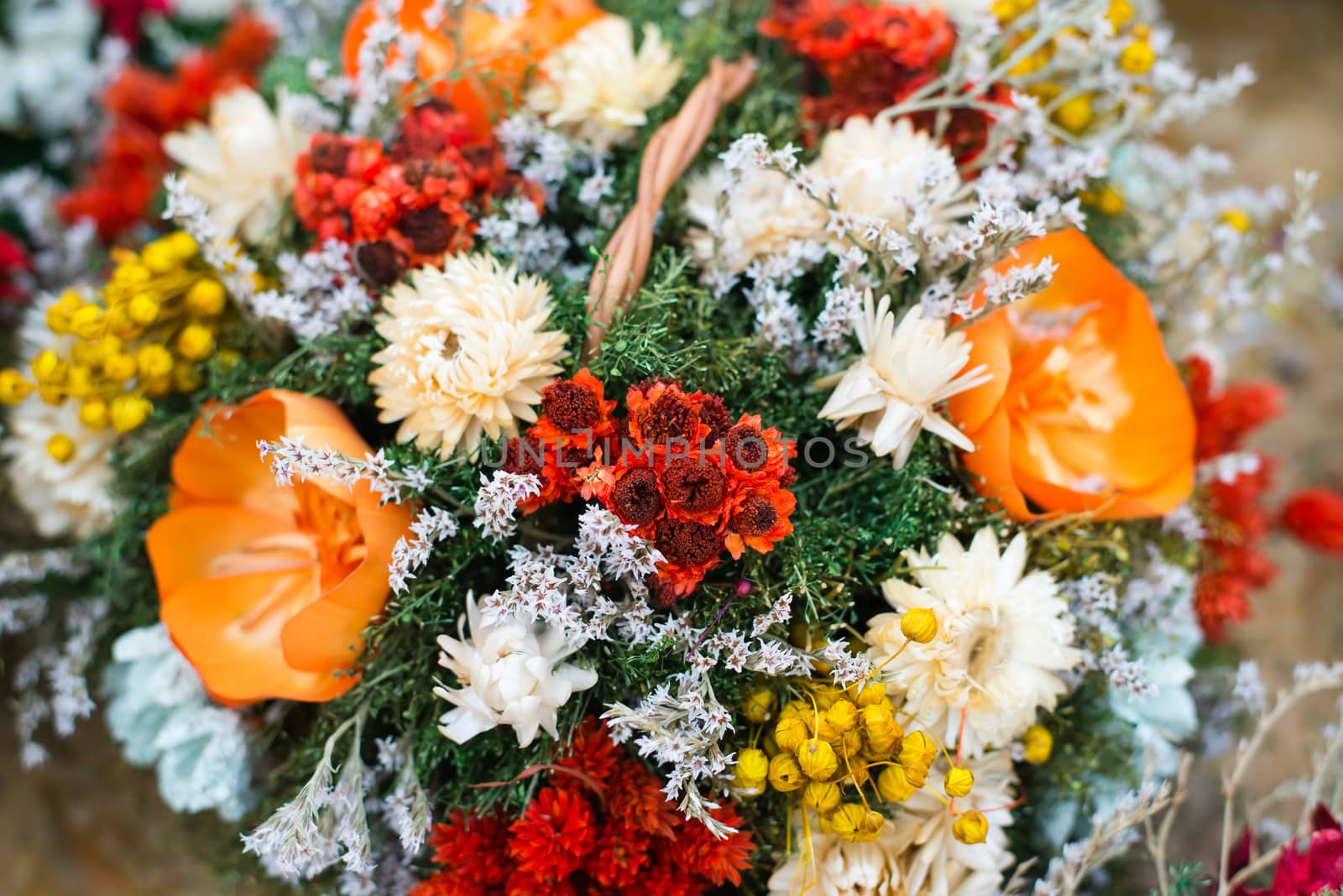 bunch of dryed flowers - shallow DOF picture