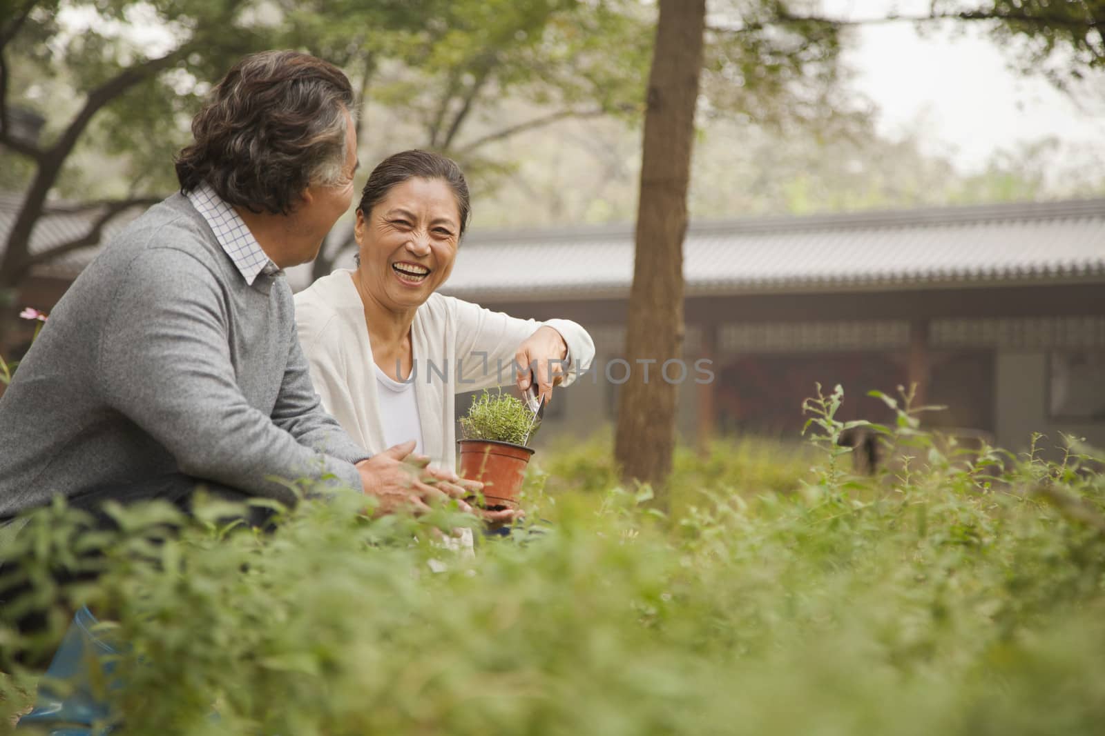 Smiling senior couple in garden by XiXinXing