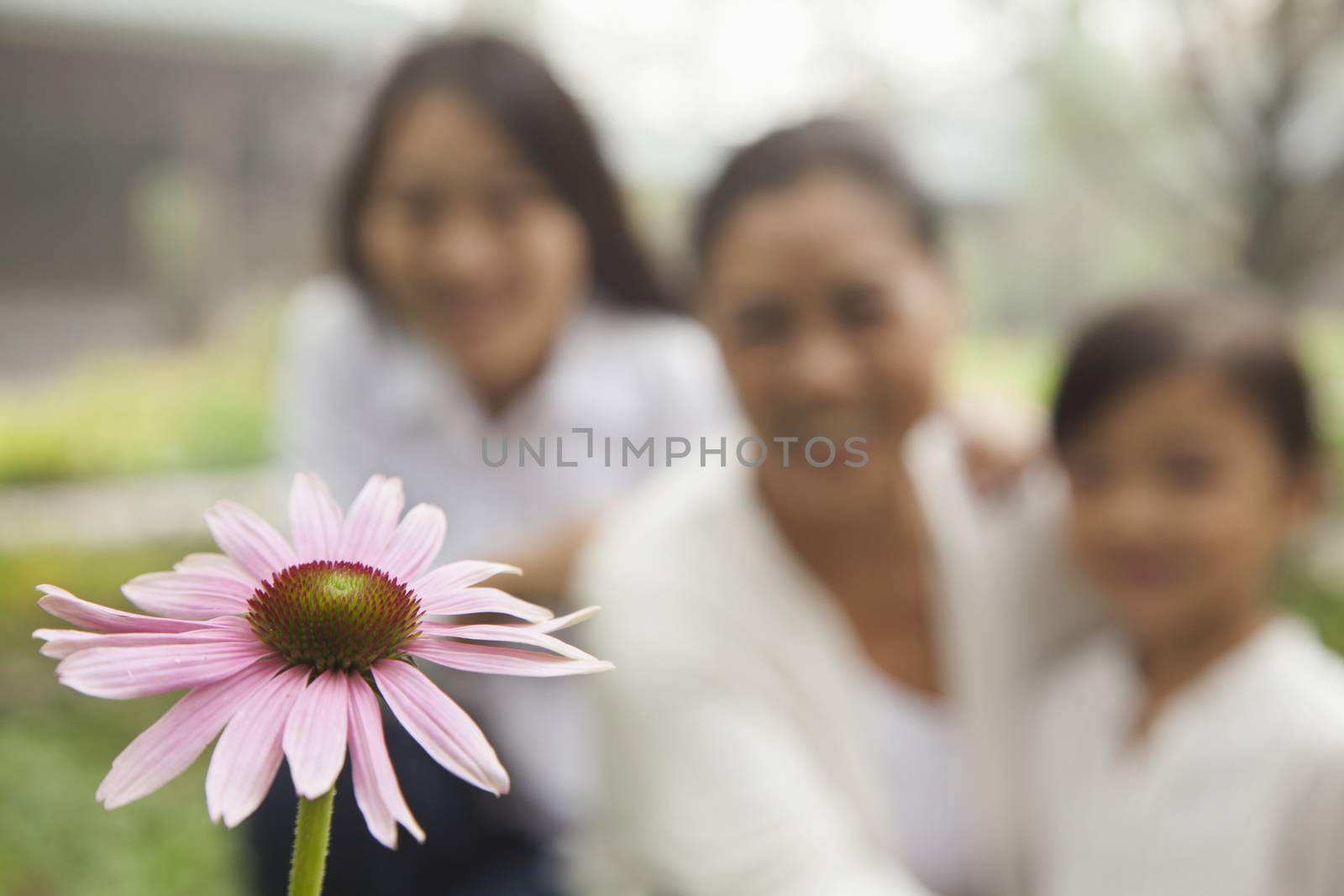 Three generation looking at flower in garden