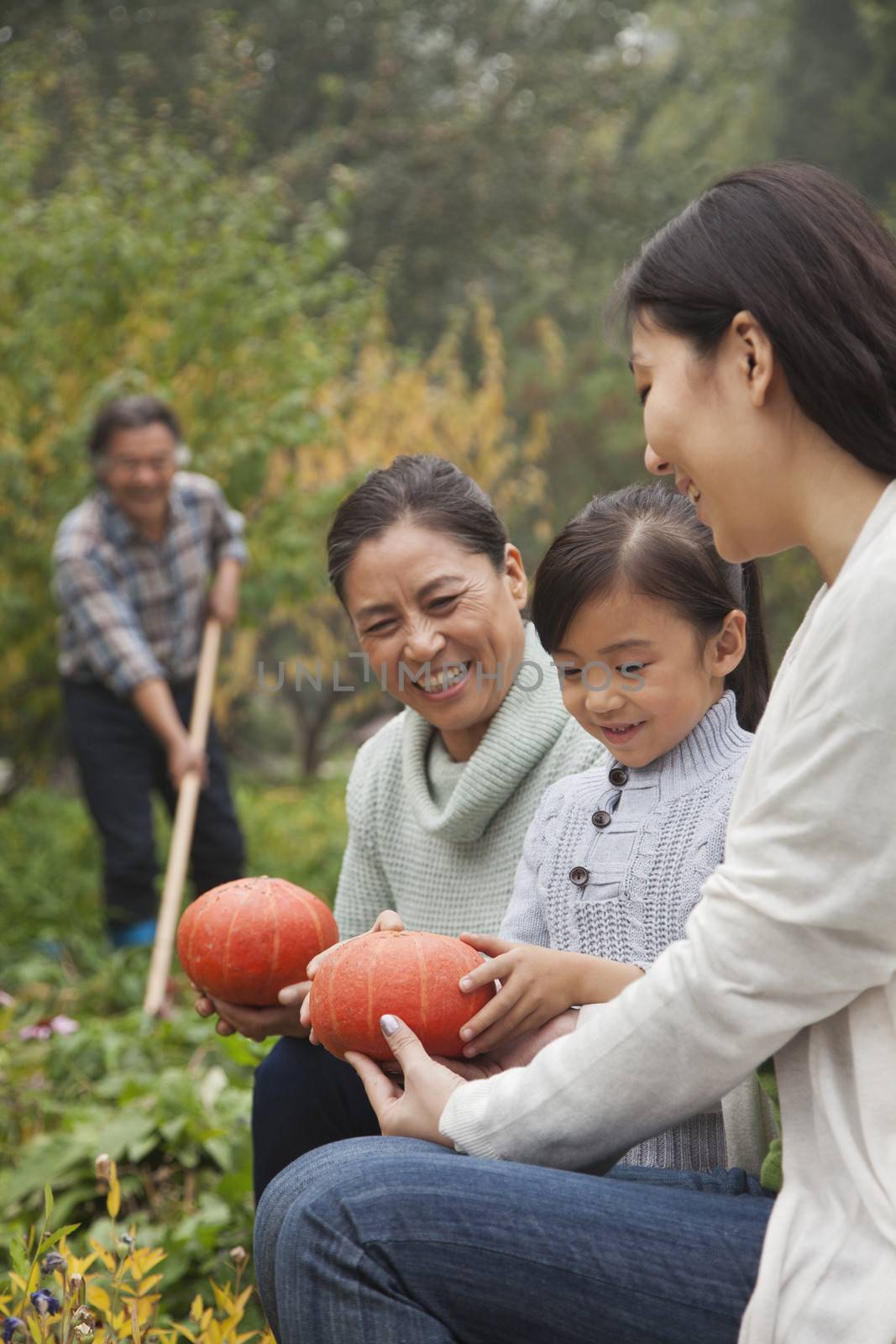 Happy family harvesting vegetables in garden by XiXinXing