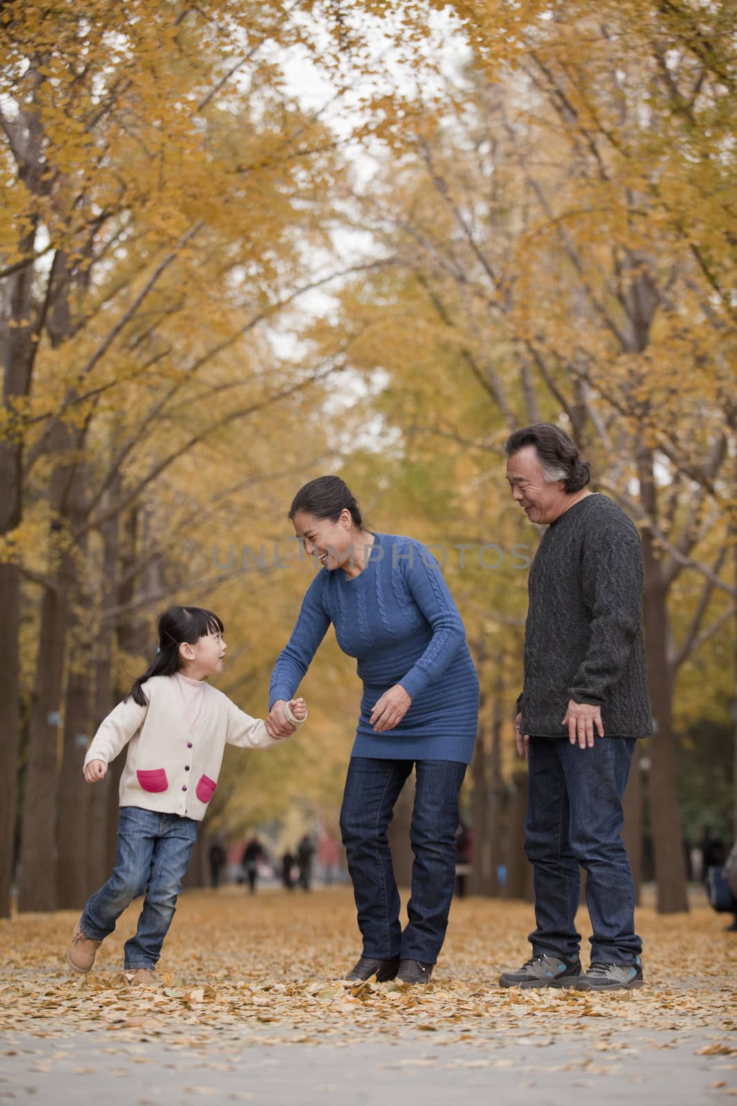 Grandparents and granddaughter playing in park by XiXinXing