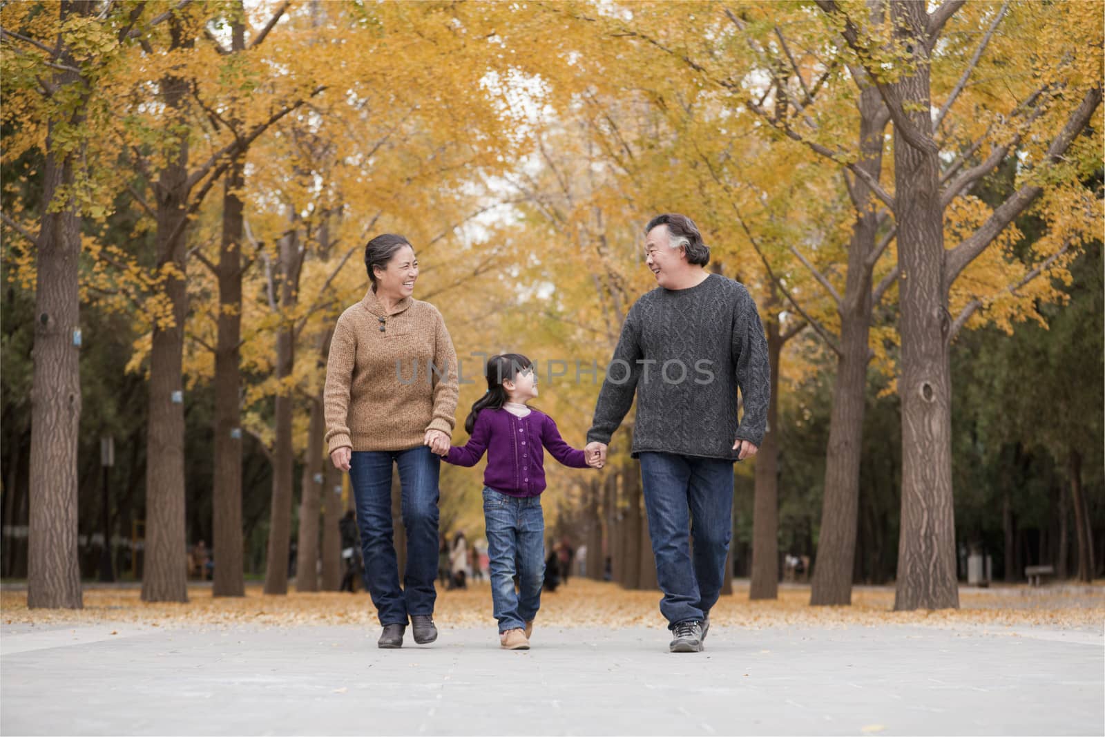 Grandparents and granddaughter playing in park