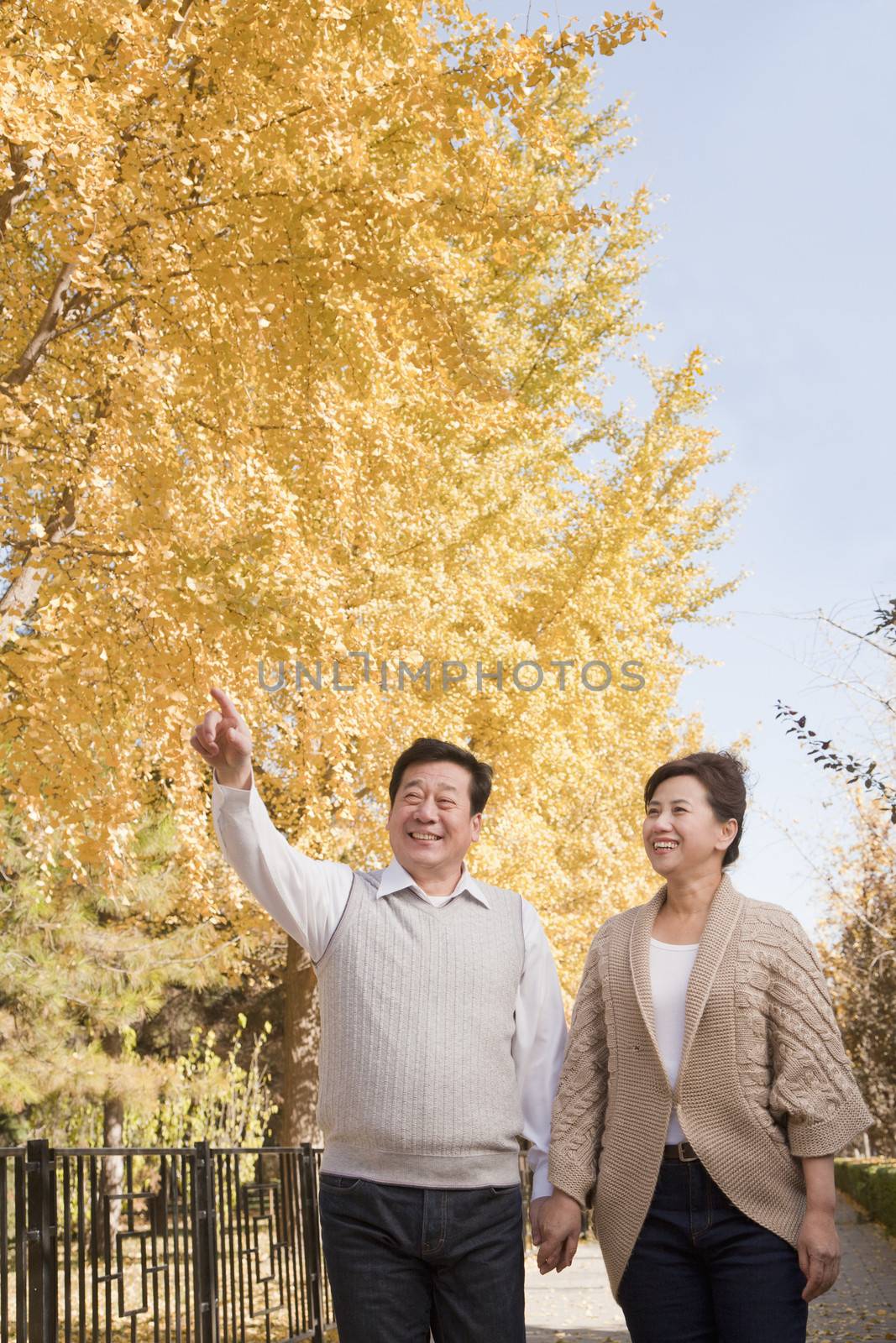 Mature Couple Walking Together in the Park