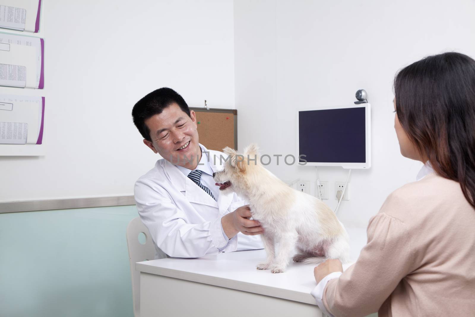 Woman with pet dog in veterinarian's office by XiXinXing