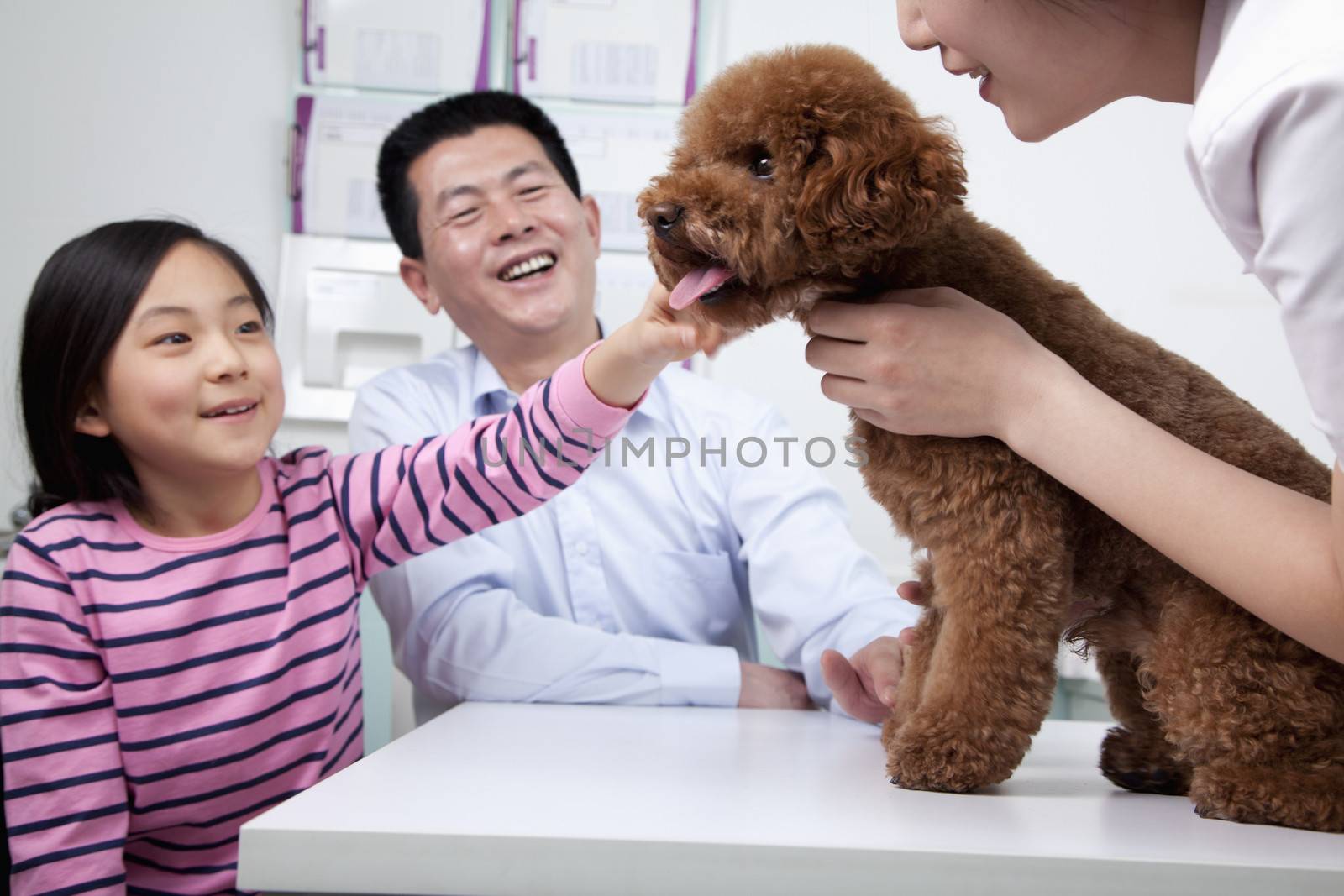 Woman and girl with pet dog in veterinarian's office