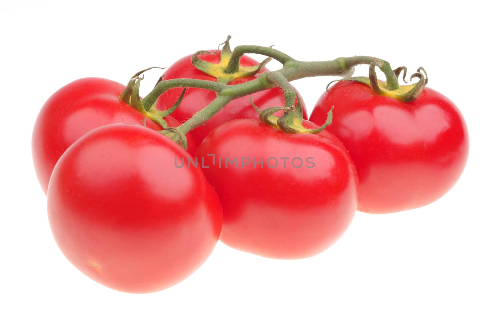 Red tomato on vine on a white background