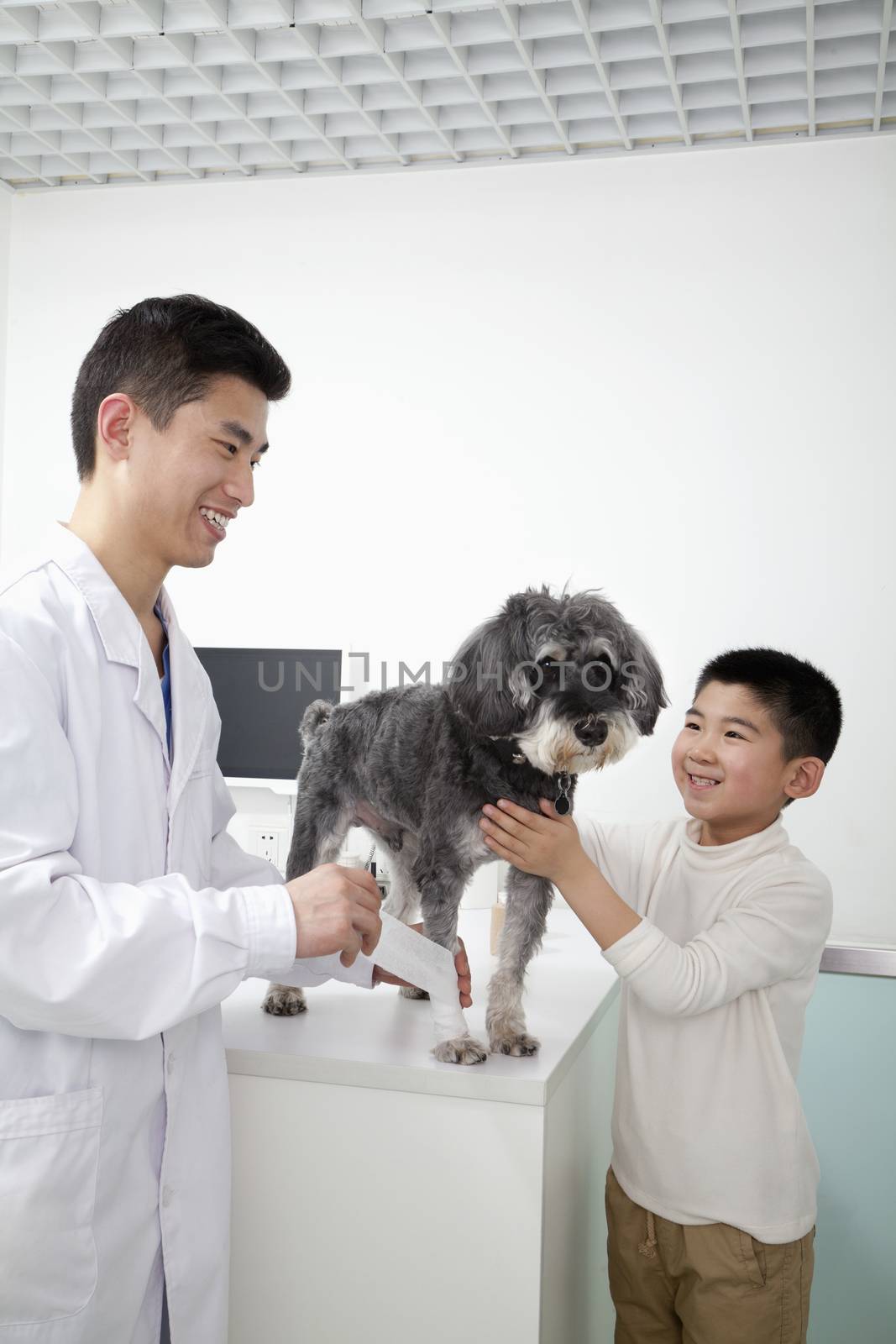 Boy with pet dog in veterinarian's office