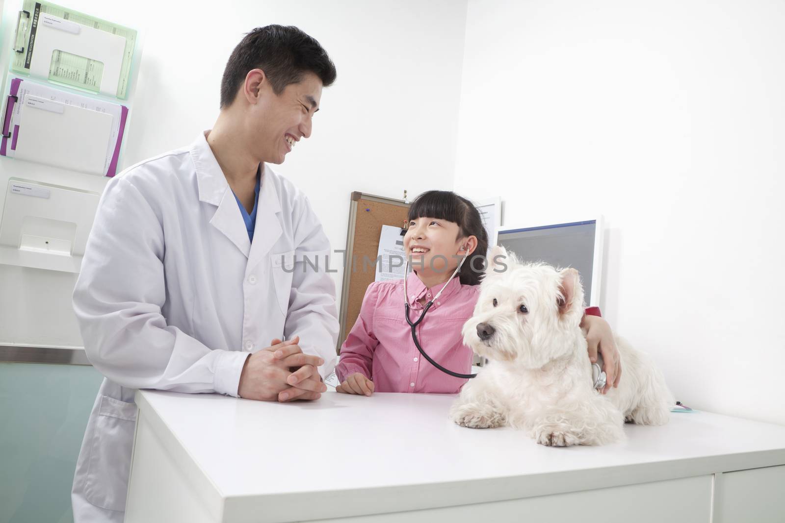 Girl with pet dog in veterinarian's office