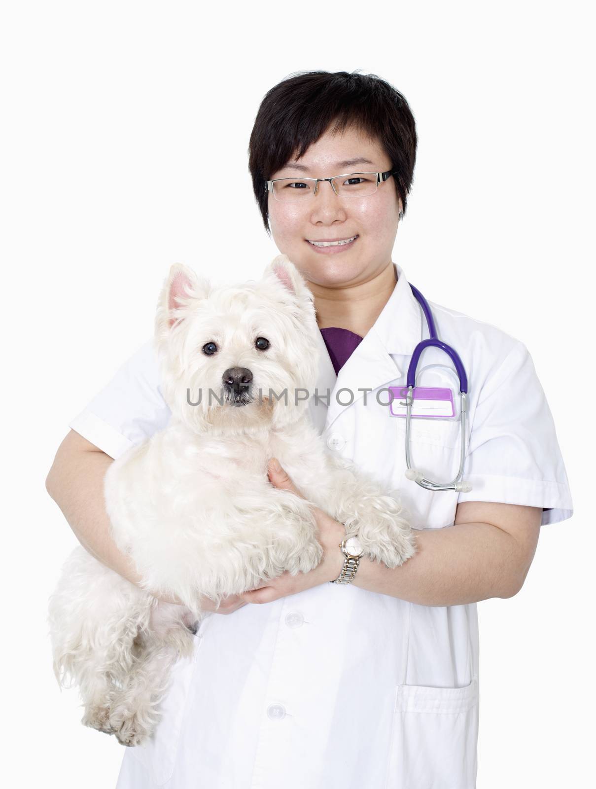 Portrait of female veterinarian holding a dog, studio shot