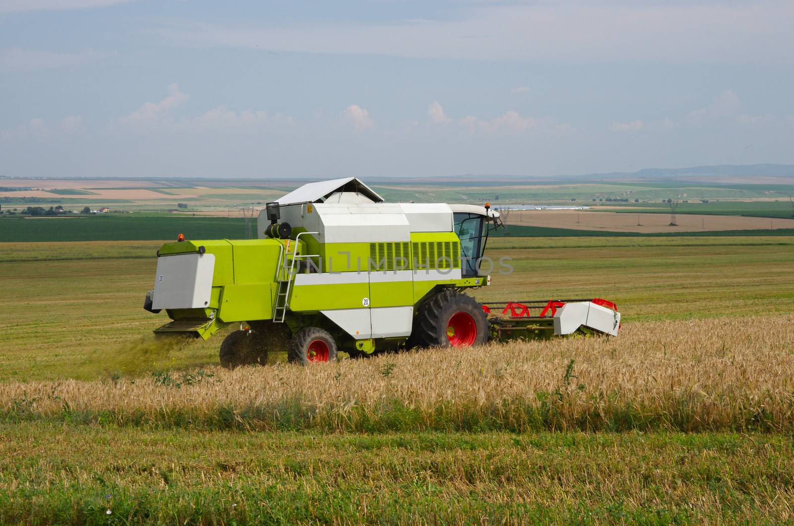 Combine harvester working in a barley field
