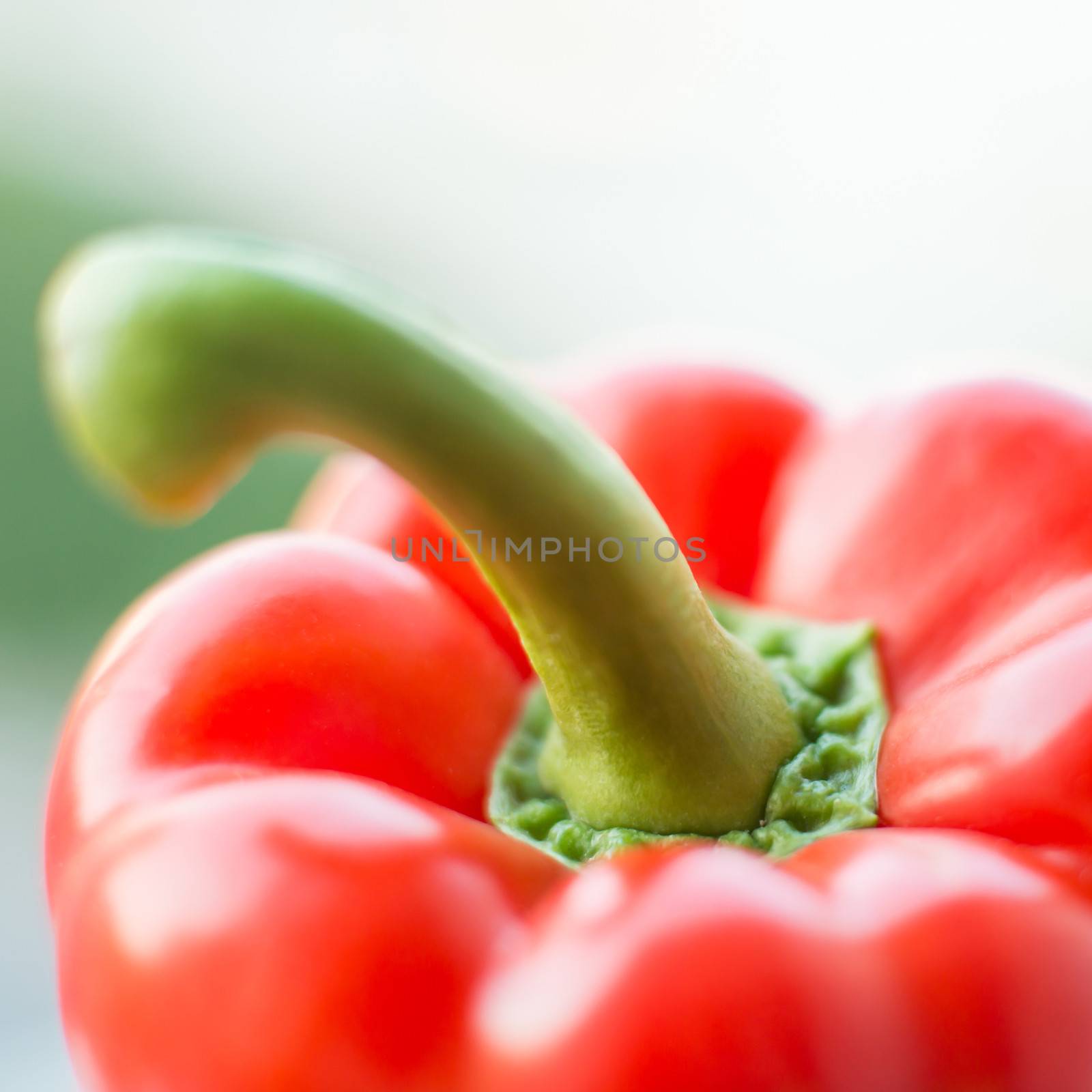 red pepper over close up