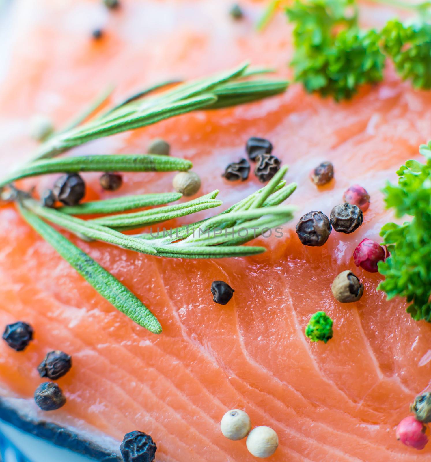 Fresh raw salmon fillet with rosemary, pepper and herbs