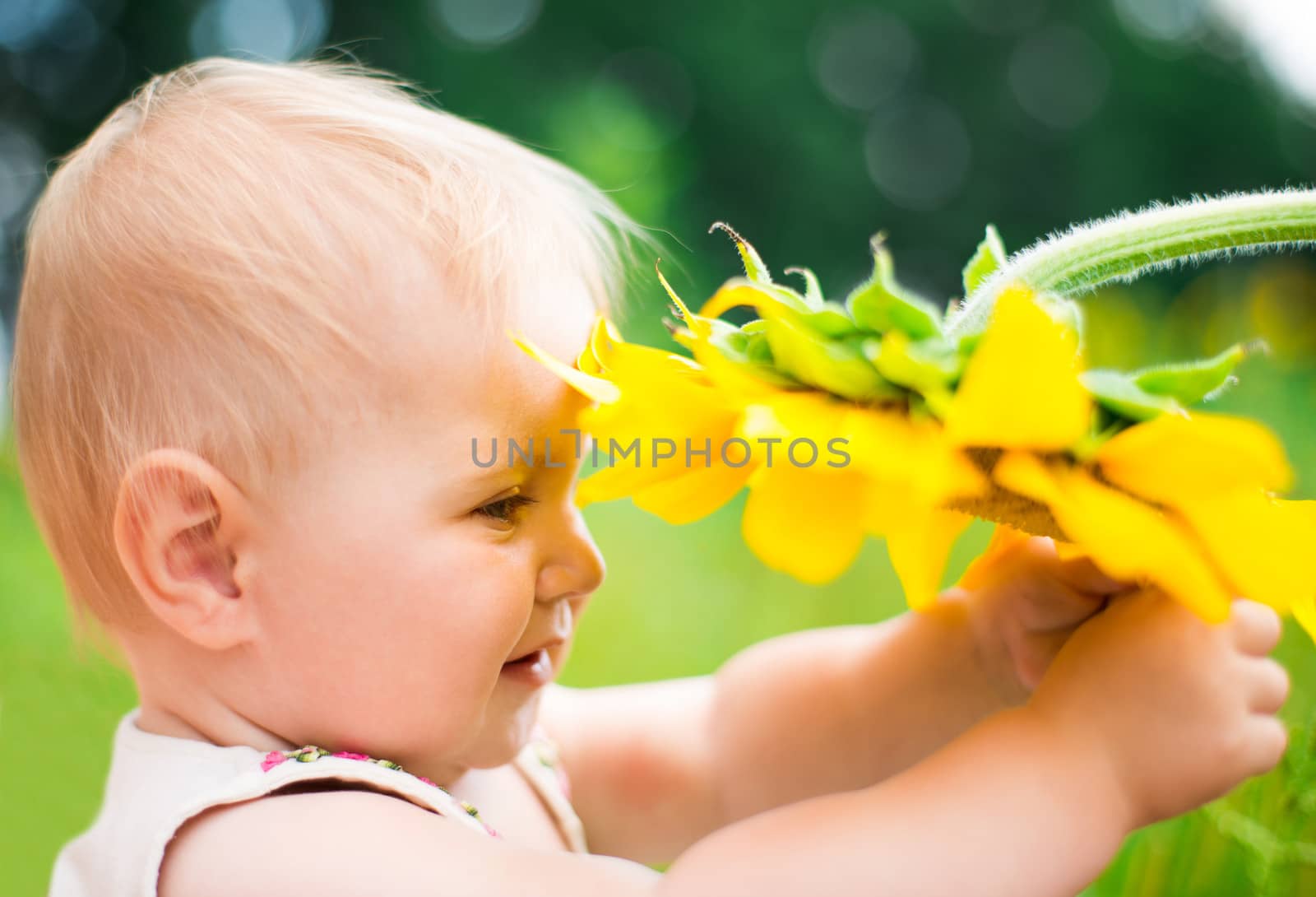 Cute baby with sunflower on summer field