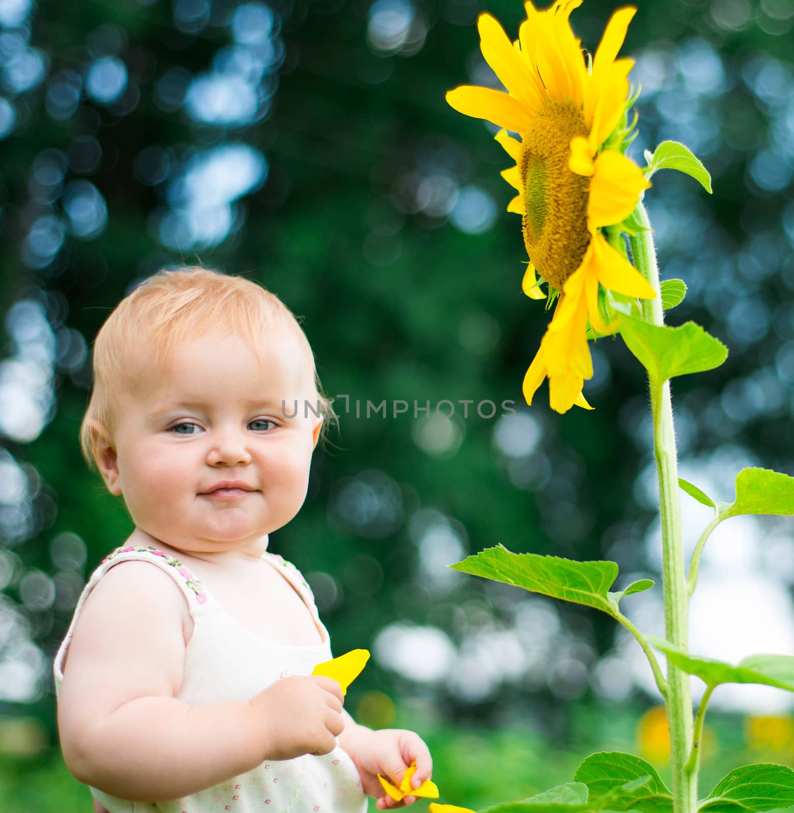 Baby with sunflower on summer field