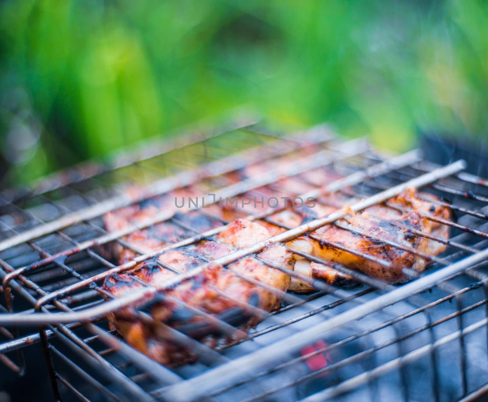 grilled meat on the grill