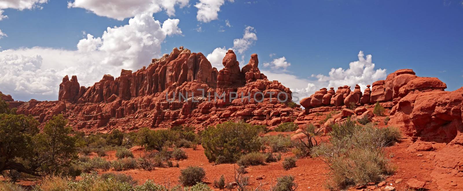Desert panorama, Arches National Park, Utah, USA