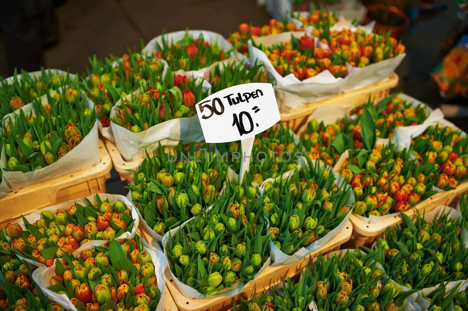 Amsterdam flower market close up details