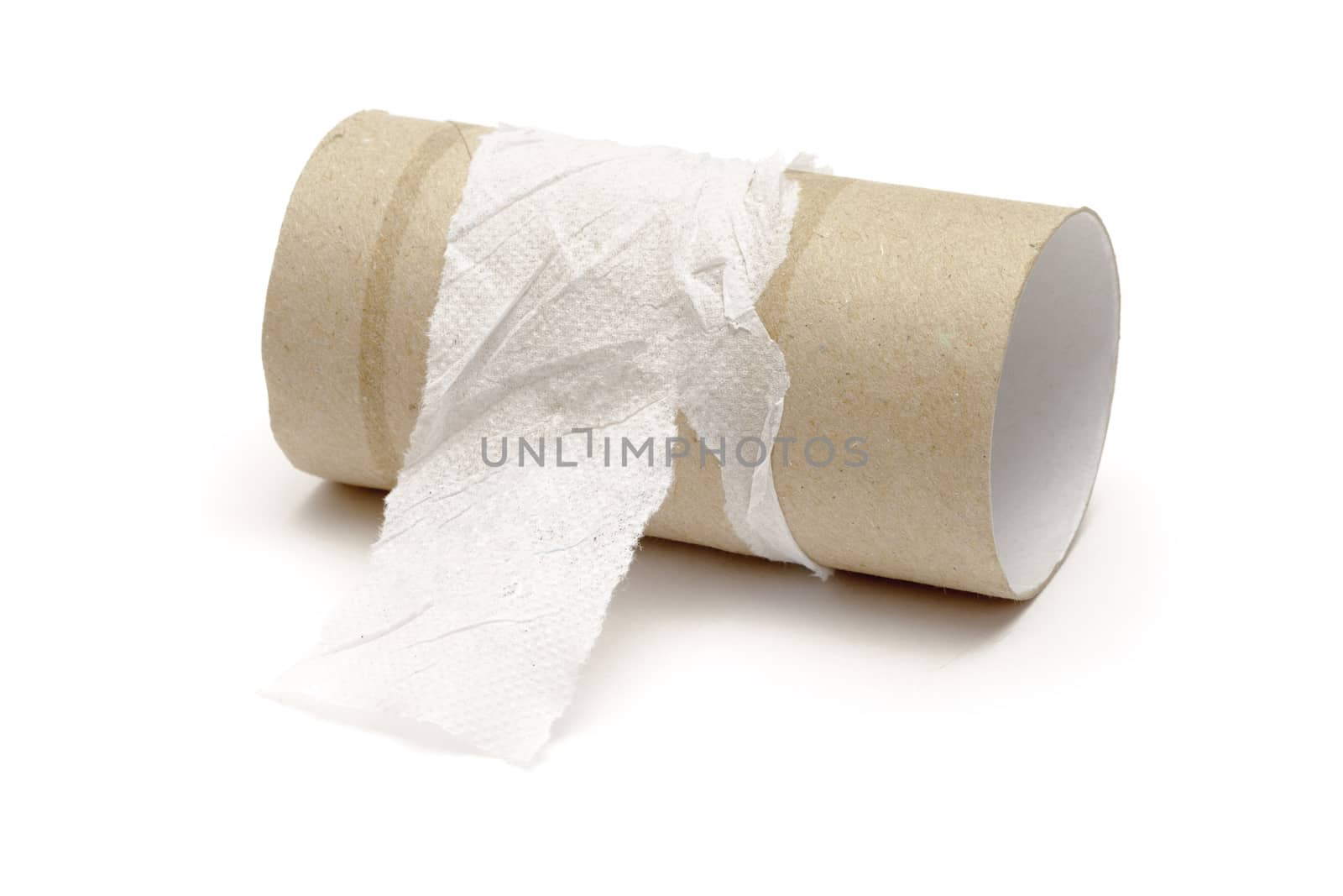 Empty toilet paper roll  on white background