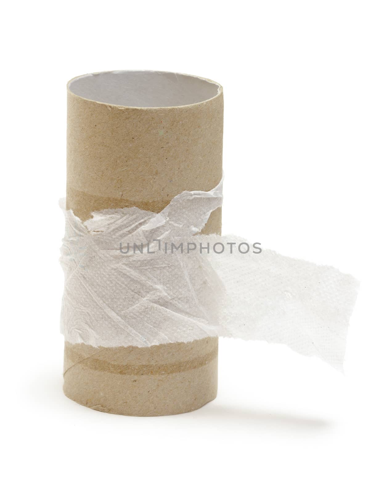 Empty toilet paper roll  on white background