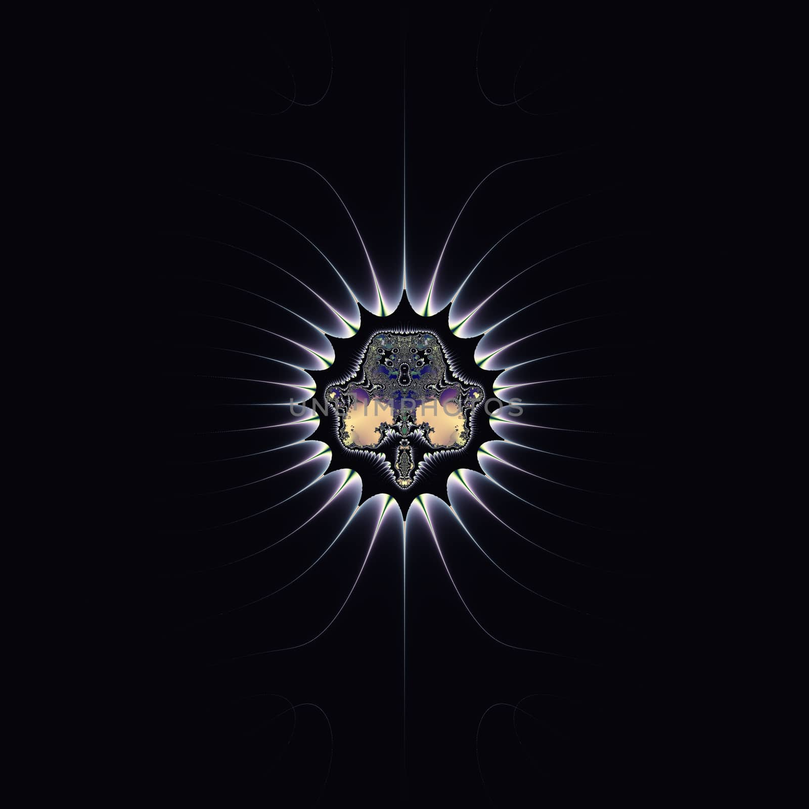 Elegant fractal design, abstract psychedelic art, supernova in black space