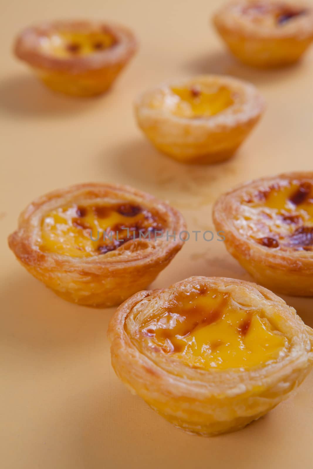 delicious portuguese egg tart on wood background