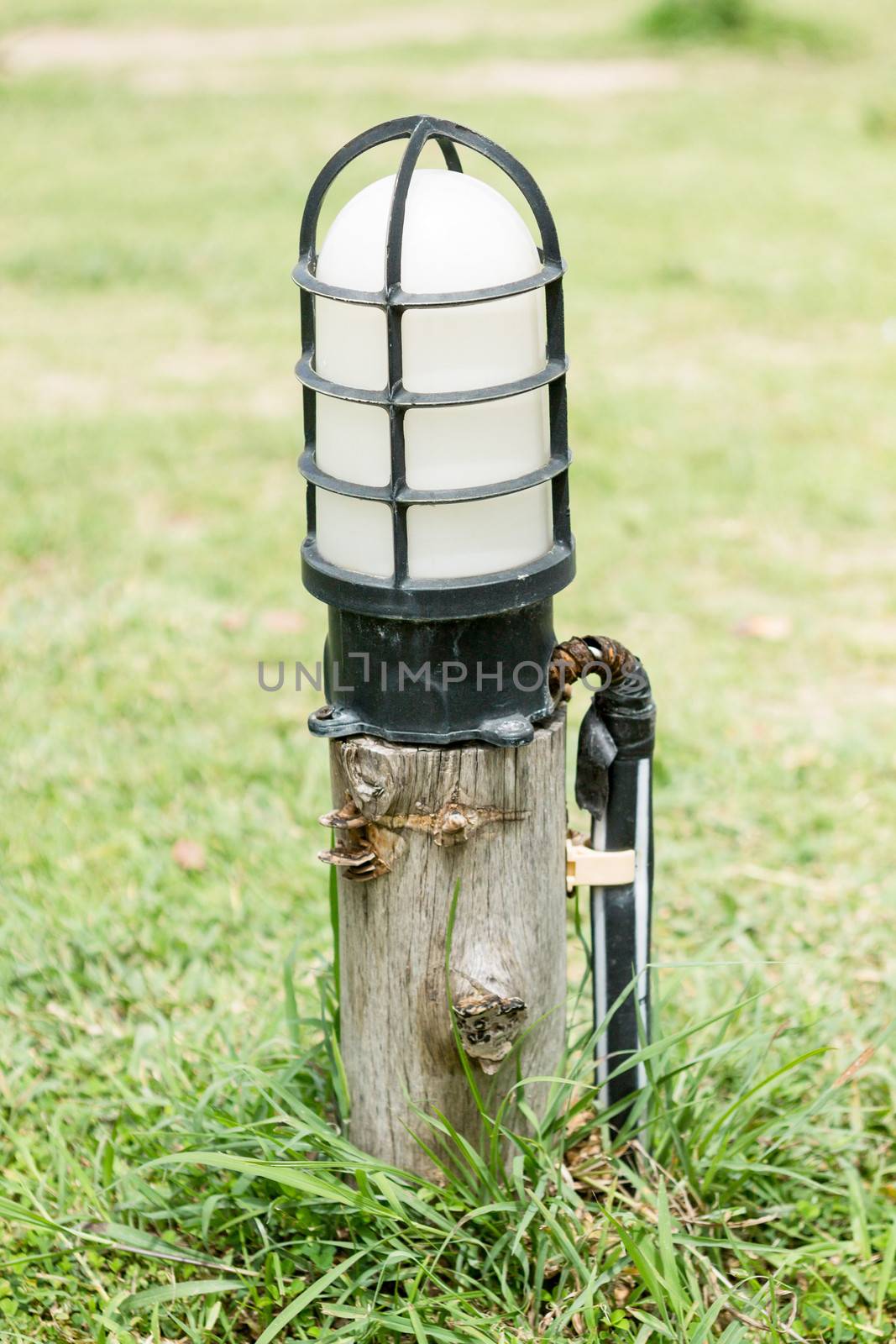 Small yard light.