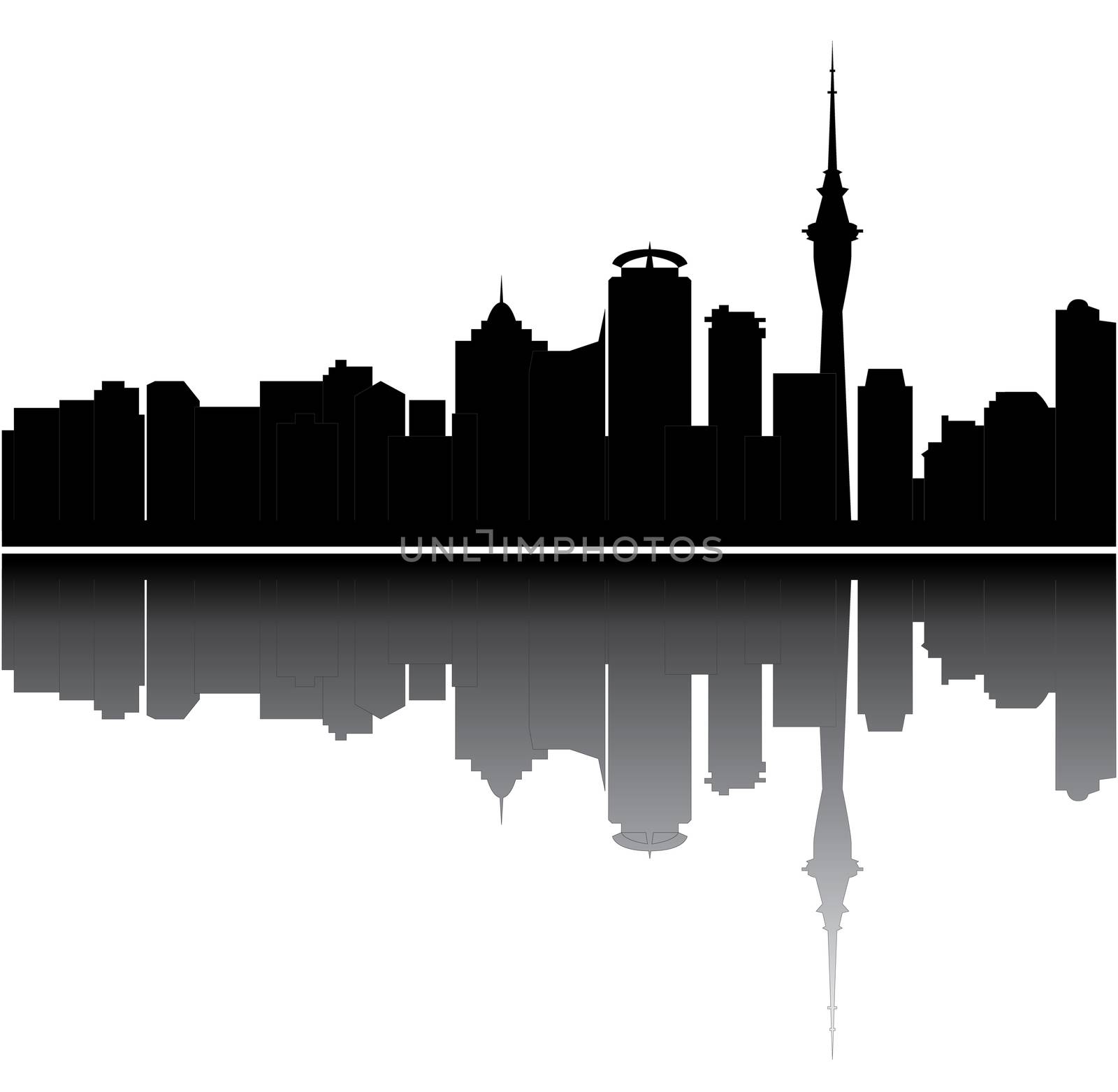 auckland skyline