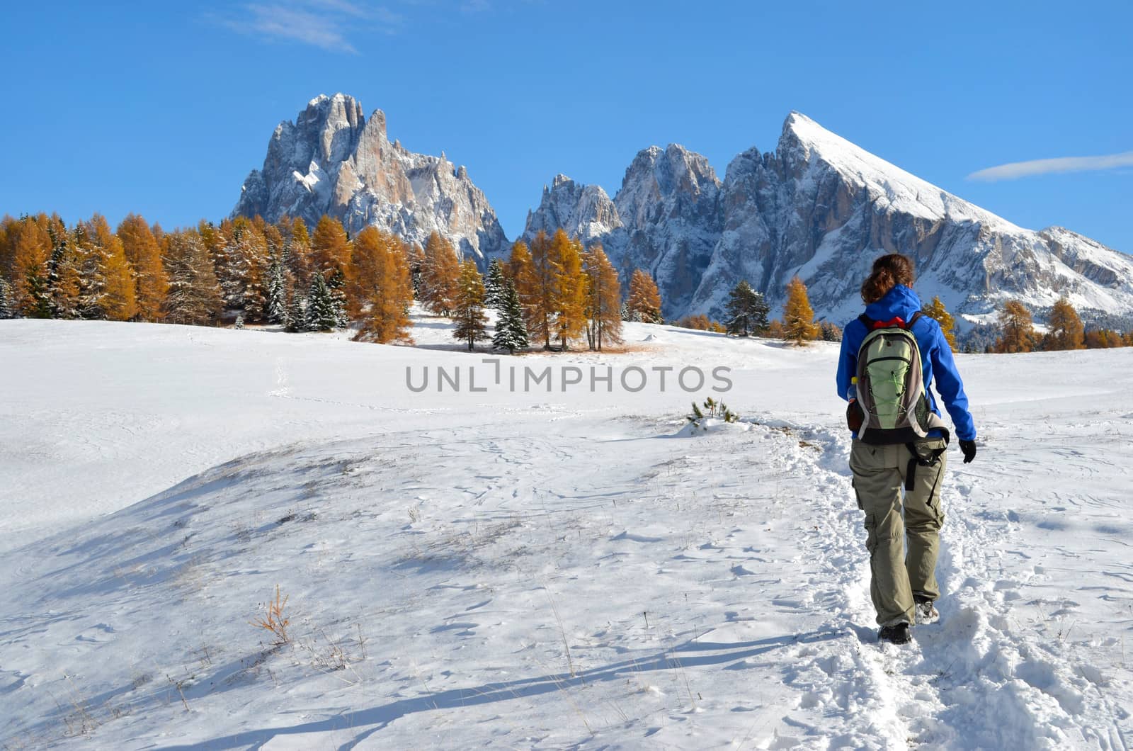 Hiking in the Dolomites in autumn by pljvv