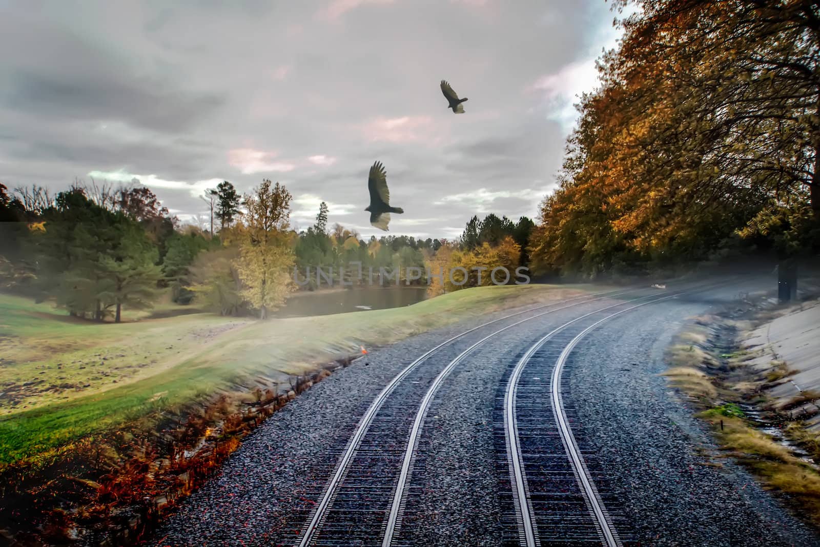 foggy nature along the train tracks by digidreamgrafix